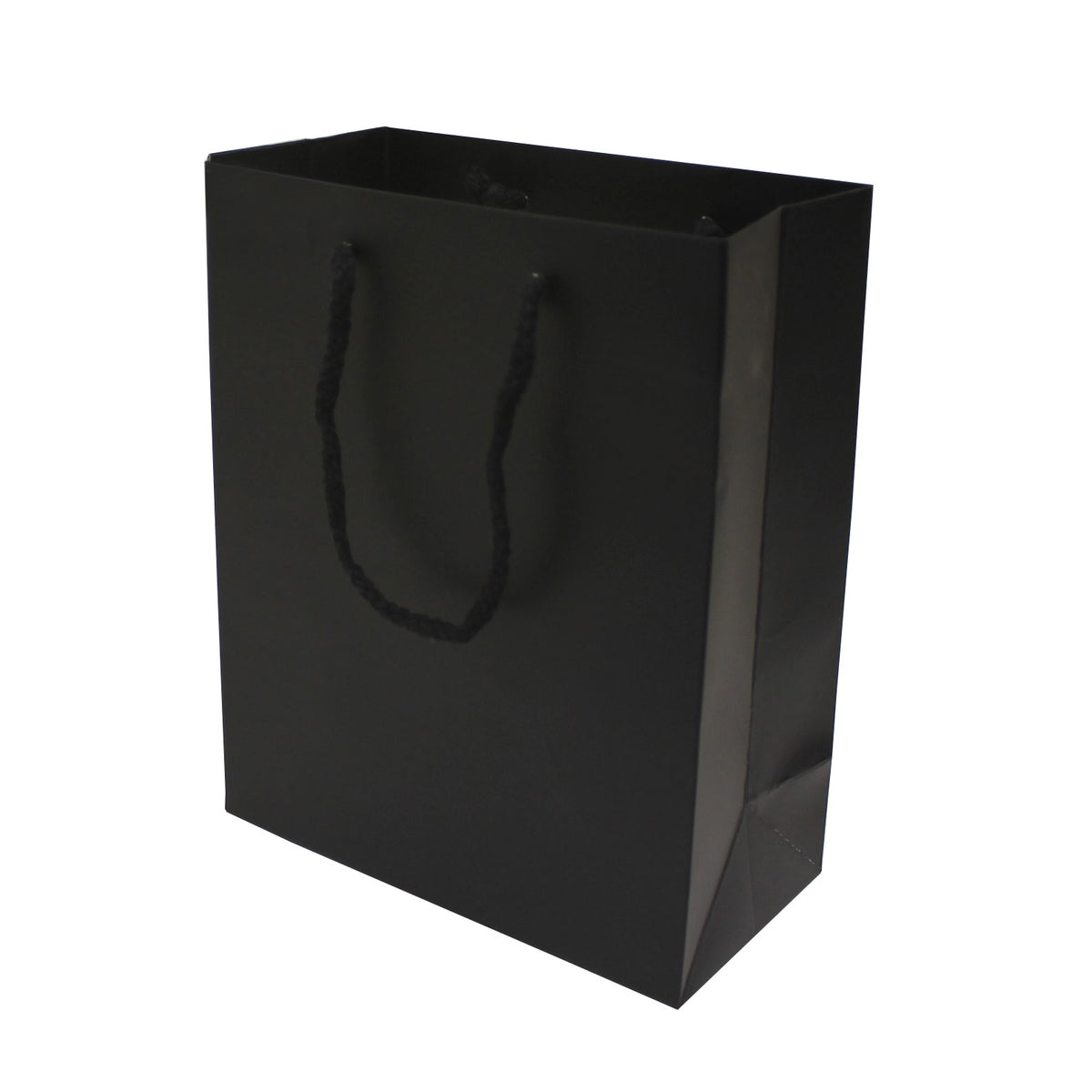 Matte Black holiday bag