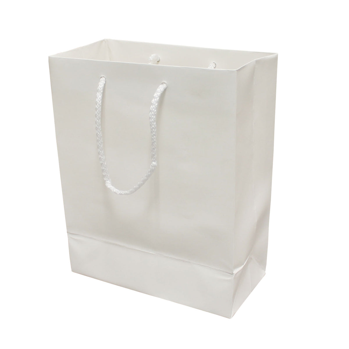 Matte white holiday bag
